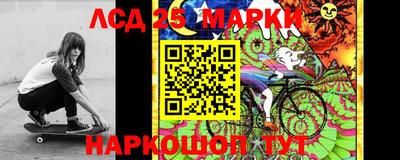 индика Кулебаки