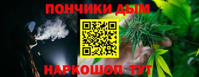 индика Кулебаки
