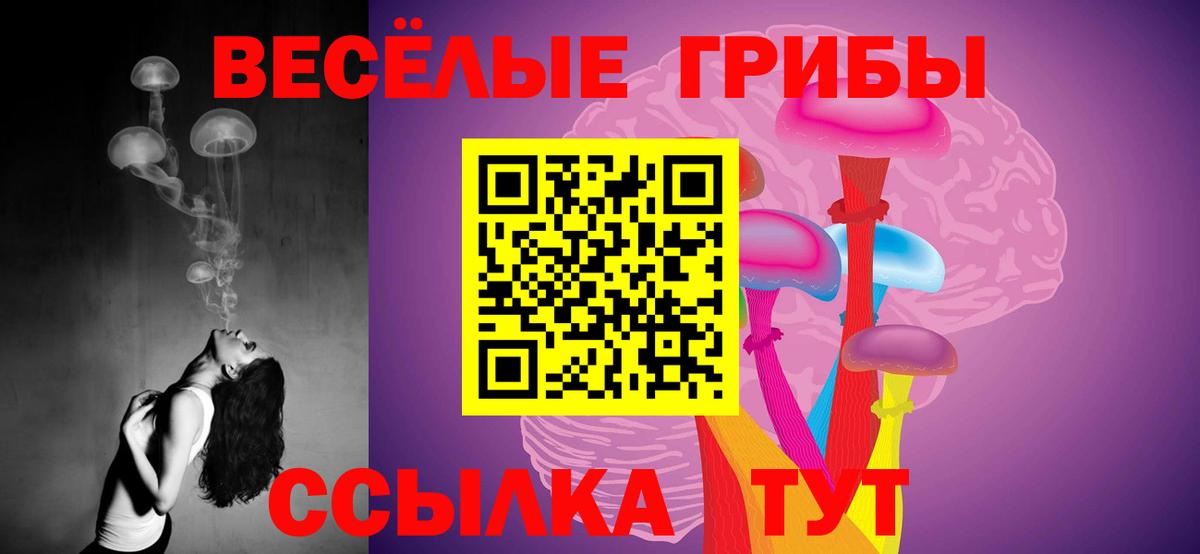 Галлюциногенные грибы Psilocybine cubensis  где найти   Калуга  Вход с VPN  Псилоцибиновые грибы Psilocybe 